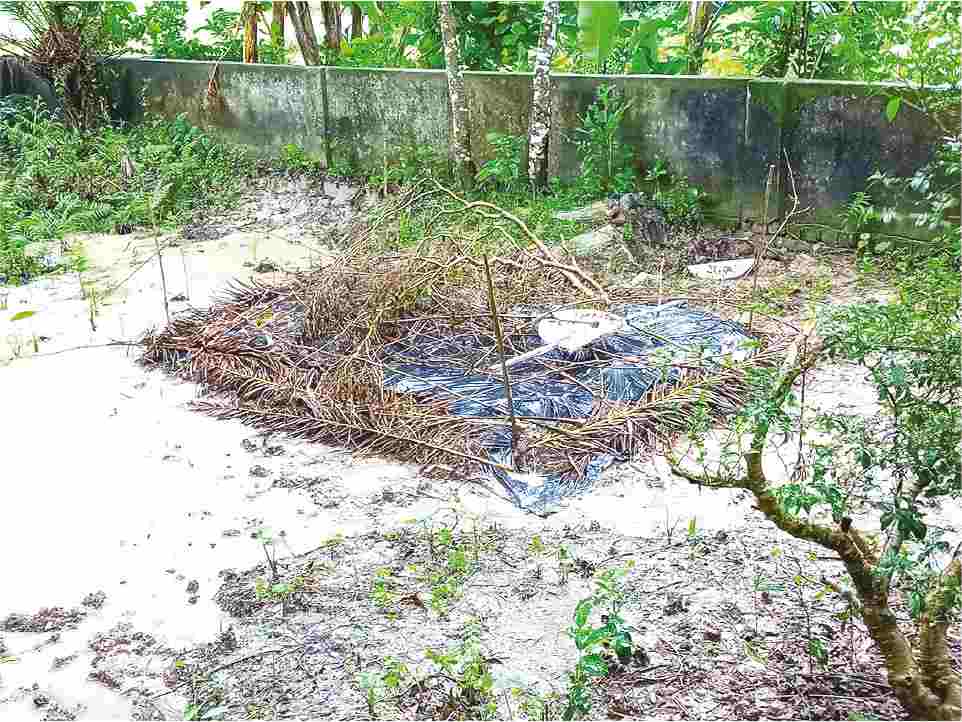 Image of মো: এ কে এম শহীদুল ইসলাম